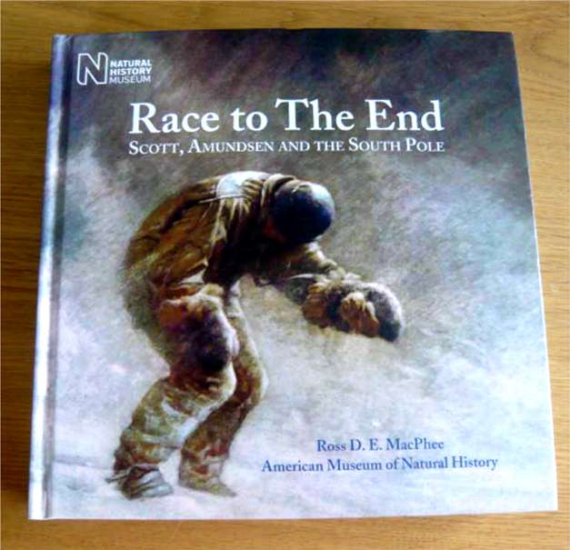 Race to The End cover